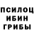 Псилоцибиновые грибы мицелий Svetlana Monosova