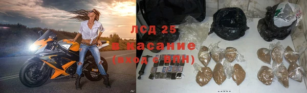 твердый Заводоуковск