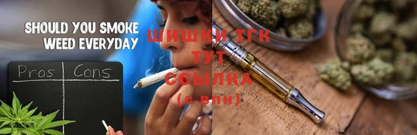 гашик Зеленокумск
