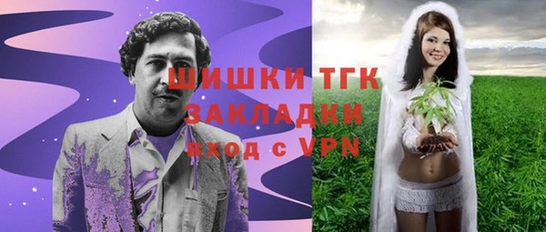 твердый Заводоуковск