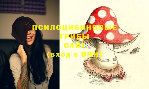 гашик Зеленокумск