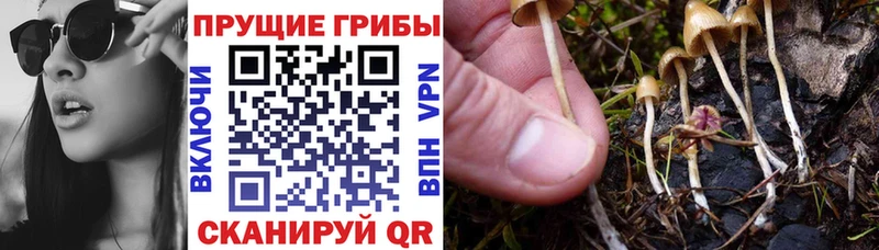 Псилоцибиновые грибы MAGIC MUSHROOMS  Купить  Кола 